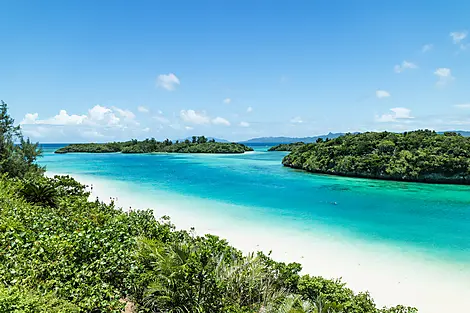 Odyssée au cœur des îles subtropicales du Japon-iStock-505620484.jpg