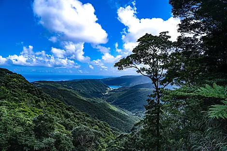 Odyssée au cœur des îles subtropicales du Japon-AdobeStock_381315338.jpeg