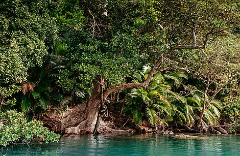 Odyssée au cœur des îles subtropicales du Japon-AdobeStock_198361217.jpeg