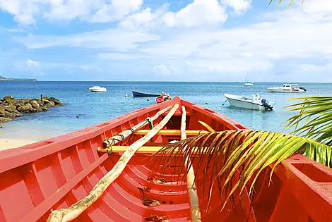 The Essentials of the Caribbean-Fotolia_31972404_M.JPEG