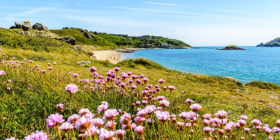 British archipelagos and Celtic shores