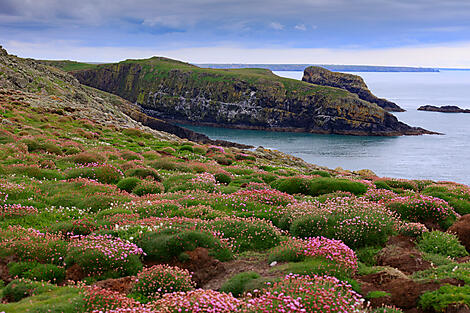 Skomer Island