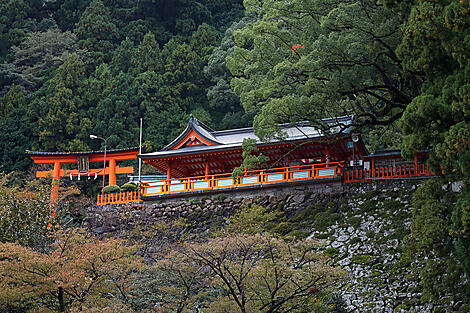 Au cœur du Japon authentique-AdobeStock_286041120.jpeg