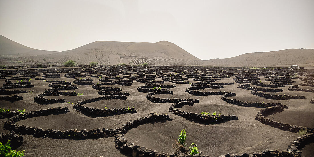 The Canaries, lands of contrast