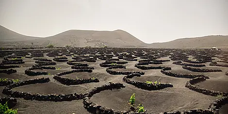 Les Canaries, terres de contrastes