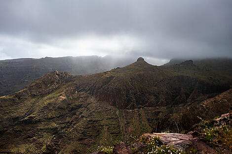 The Canaries, lands of contrast-_Y170422_LAS-PALMAS_MALAGA©StudioPONANT-Romain FargeNo-83.jpg