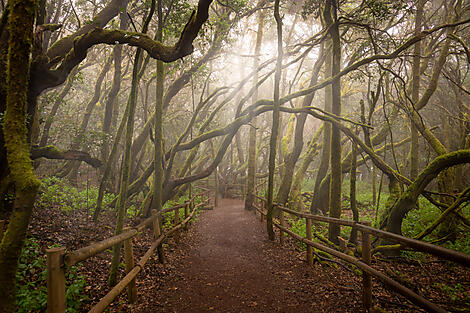 Les Canaries, terres de contrastes-_Y170422_LAS-PALMAS_MALAGA©StudioPONANT-Romain FargeNo-73.jpg