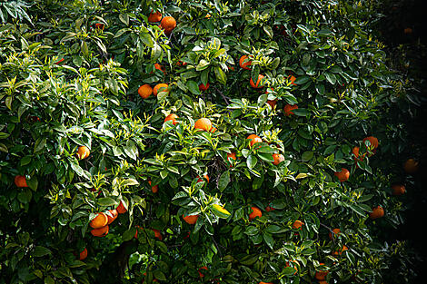 Unberührte Ufer Siziliens-No-2181_G170322_AQABA_LA VALETTE©Studio-PONANT-SarahCongui.jpg