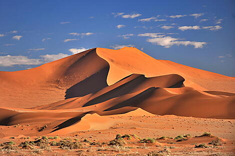 Namibia und Südafrika-AdobeStock_207083072.jpeg