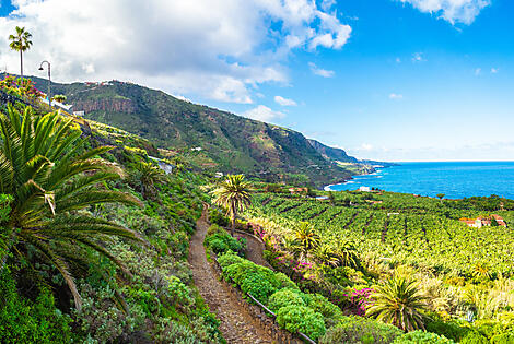 Odyssée atlantique des Canaries à la péninsule ibérique-iStock-1096923086 (1).JPG