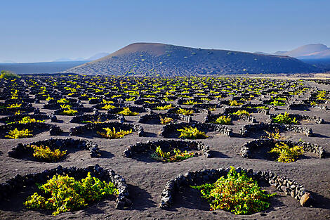 Atlantic Odyssey from the Canary Islands to the Iberian Peninsula -AdobeStock_214272752.JPG