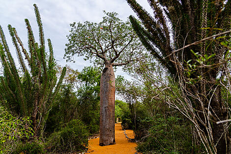 Afrique du Sud et Madagascar-No-2275_EC080323_Madagascar_Tulear©StudioPONANT-Doriane Letexier-2.jpg