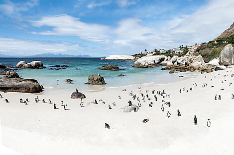 South Africa and Namibia by Sea: Around the Cape of Good Hope – with Smithsonian Journeys-N°2047_2048-R-M_Y240318_Cape-Town©StudioPONANT-Mar_3008x2000.jpg