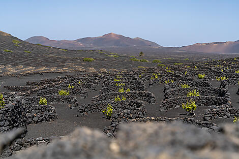 Zwischen Vulkanen und Ozean, von den Kanaren bis zu den Kapverden-No-2465_U040423_Las_Palmas-Las_Palmas©StudioPONANT-Ophelie_BLEUNVEN.JPEG