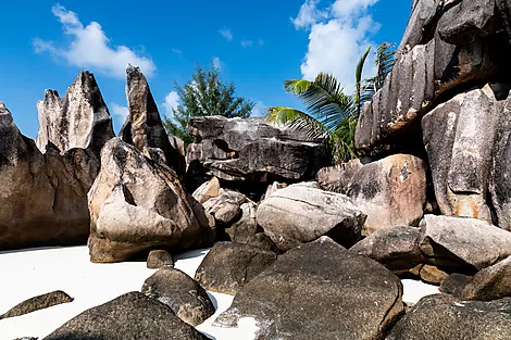 Madagascar and Seychelles: Natural Treasures of the Indian Ocean – with Smithsonian Journeys-No-2218_EC130223_Mahe_Mahe_Seychelles_Ile de Curieuse©StudioPONANT-Doriane Letexier(1).jpg