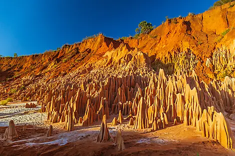 Madagascar and Seychelles: Natural Treasures of the Indian Ocean – with Smithsonian Journeys-AdobeStock_225318638.jpeg