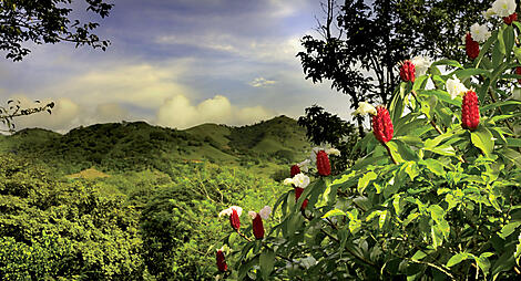 Central America Jewels & Panama Canal -istockphoto costa rica hd panoramic.jpg