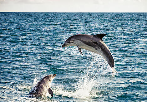 Hidden treasures of New Zealand and Vanuatu-iStock_000024290090XLarge_resize.jpg