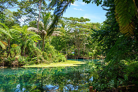 Hidden treasures of New Zealand and Vanuatu-No-2012_PG210122_Lautoka-Bali_BEST OF_@StudioPONANT-Soizic Roux & Guillaume Duez.jpg