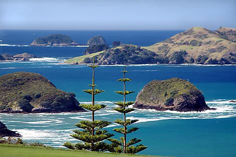 Hidden treasures of New Zealand and Vanuatu-shutterstock_1006004.jpg