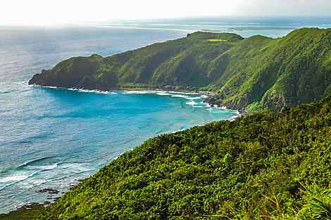 Odyssée au cœur des îles subtropicales du Japon-iStock-1159791204.jpg