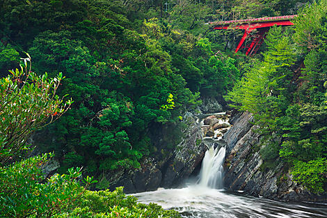 Yakushima