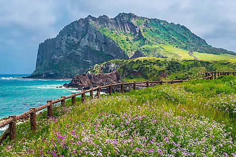 Island Wonders & the Soul of Ancestral Japan-iStock-579410588.jpg