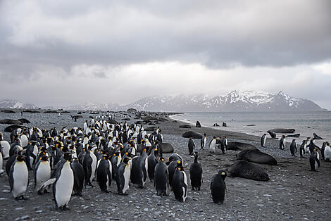 Abenteuer durch das Südpolarmeer bis zur Halbinsel Valdés -No-2111_CR28_B071122_Ushuaia_Ushuaia©StudioPONANT_MorganeLANCO.jpg