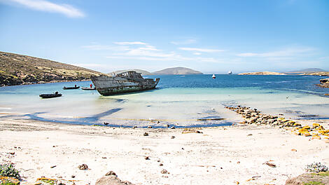 Journey to Austral Lands and Valdes Peninsula-N-200122_A151119_New-Island©StudioPonant-Clement Louineau.jpg