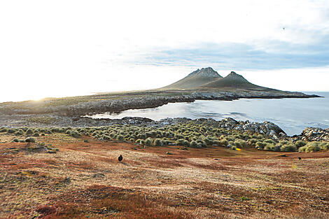 Abenteuer durch das Südpolarmeer bis zur Halbinsel Valdés -N-2010_Y030318_Steeple-Jason-Island_Cierva-Cove©StudioPONANT-Margot-Sib.jpg