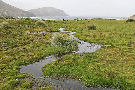 Abenteuer durch das Südpolarmeer bis zur Halbinsel Valdés -N-2136_HD_Y191117_Montevideo-Ushuaia©StudioPONANT-Margot Sib.jpg