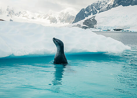 Abenteuer durch das Südpolarmeer bis zur Halbinsel Valdés -No-2213_A280220-Ushuaia-Montevideo©StudioPONANT-Julie Lacombe.jpg