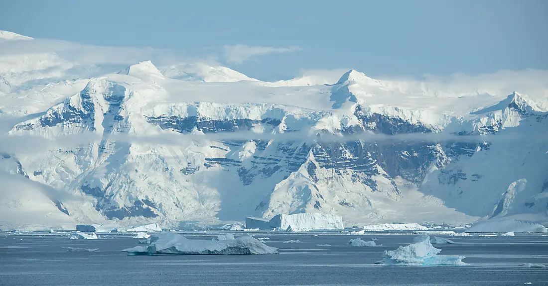 Antarktis, Falklandinseln & Südgeorgien