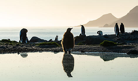 The Great Austral Loop-No-2344_S030220_Ushuaia-Ushuaia©StudioPonant-Olivier Blaud.jpg