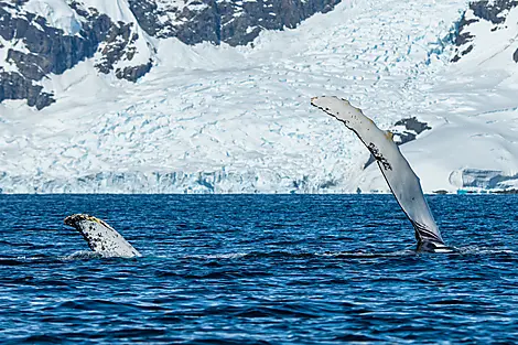 La grande boucle australe-No-4501_S091219_ushuaia-ushuaia©StudioPonant-OlivierBlaud.jpg