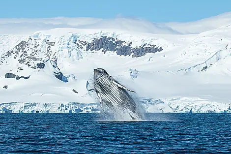 L’Antarctique emblématique -No-4515_S091219_ushuaia-ushuaia©StudioPonant-OlivierBlaud.jpg