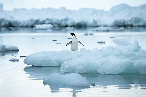 L’Antarctique emblématique-No-2076_S091219-ushuaia-ushuaia©StudioPonant-OlivierBlaud.jpg