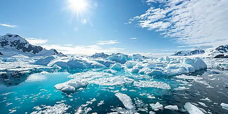 L’Antarctique emblématique