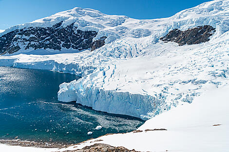 L’Antarctique emblématique-9-B041219_Neko-Harbour©StudioPONANT-Laurence-FISCHER.jpg