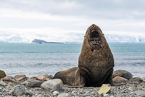 Abenteuer durch das Südpolarmeer bis zur Halbinsel Valdés -No-2075_B060220_Ushuaia-Ushuaia©StudioPONANT-Laurence FISCHER.jpg