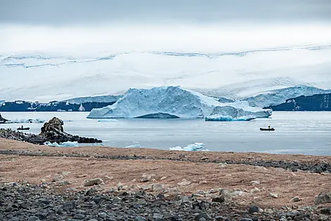 L’Antarctique emblématique-No-2127_S190220_PAULET©StudioPONANT-OlivierBlaud.jpg