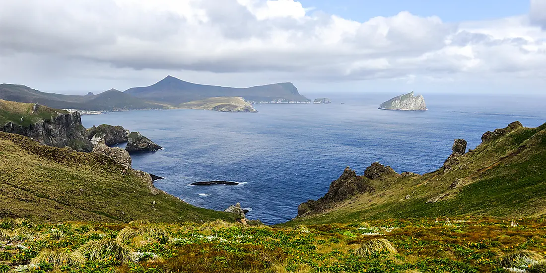 Expedition to New Zealand’s Subantarctic Islands