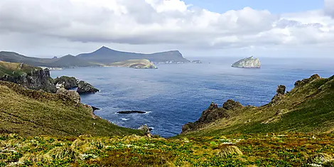 Îles Subantarctiques de Nouvelle-Zélande