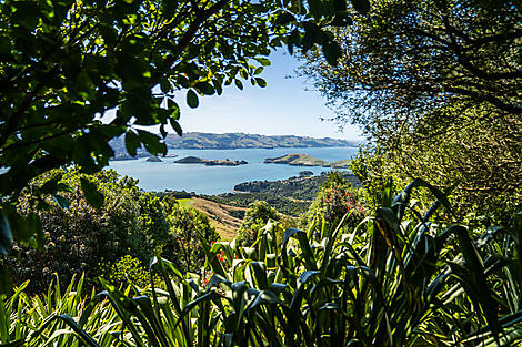 Expedition to New Zealand’s Subantarctic Islands -N0085- R230220 ® Studio Ponant-Adrian Freyermuth_.jpg