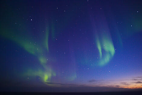 Polar-Abenteuer zwischen Nordost-Grönland und Spitzbergen-n°-2074.jpg