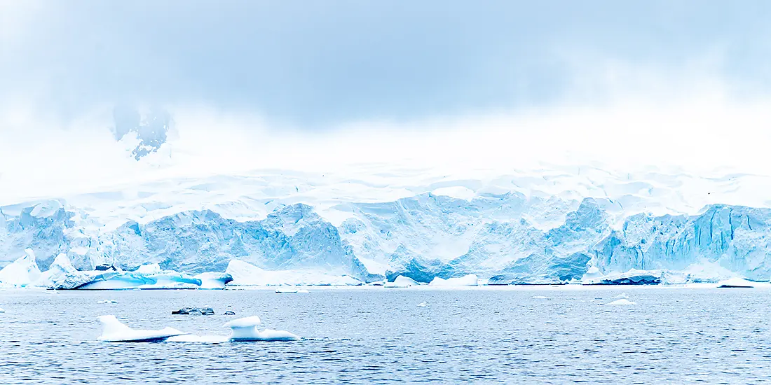 Emblematic Antarctica