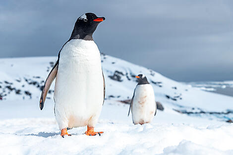 Emblematic Antarctica-No-2142_A040122_Ushuaia-Ushuaia©StudioPONANT-Laurence-Fischer.jpg