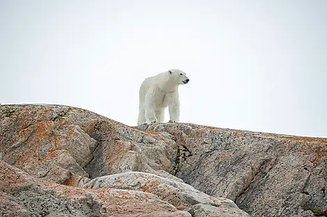 Polar Nights: From the North Cape to Spitsbergen-No2166_CR15_A150502-Magdalenabay©StudioPONANT-GlennLeBras.jpg