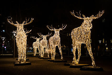 Baltic Bliss & Winter Wonders-iStock-1448557553.jpg