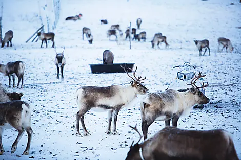 Le golfe de Botnie, aux portes de l’Arctique-iStock-938708138.jpg